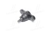 Опора шарова передня Hyundai Elantra/Kia Carens 06-/Cerato 08-/Magentis 05- (Mobis) Hyundai / Kia / Mobis 51760-2G000 (фото 4)