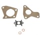 Прокладка турбіни (к-кт) QASHQAI I (J10, NJ10)/MEGANE 1.5 dCi 03-15 4317751410