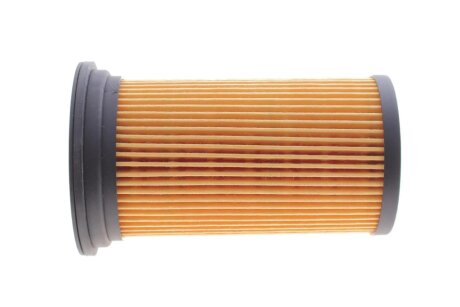 Фільтр паливний KAVO FFF-10053 (фото 1)