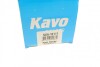 Амортизатор (задний) KAVO SSA-10111 (фото 7)