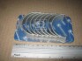 Вкладыши шатунные FIAT STD 2,3JTD F1AE0481C (KS) KOLBENSCHMIDT 77976600 (фото 2)