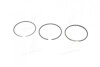 Кільця поршневі, комплект на 1 циліндр DAF/FORD/PEUGEOT/SSANGYONG 2,3D/2,5D 800004110040