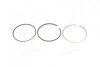 Кільця поршневі FIAT/LANCIA/OPEL 82.4 (2/2/2) 192B1/841G/841M/841N/937A5/Z19DTH/Z19DTJ (вир-во KS) 800073010040