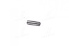 Направляющая клапана IN/EX CHEVROLET/DAEWOO A15MF/A16DMS/F14D3/F14S3/X20SED 40X6X11 (KS) KOLBENSCHMIDT 81-77000 (фото 3)