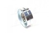Ролик модуля натяжителя ремня MPQ0153 (MagnetiMarelli) MAGNETI MARELLI 331316170153 (фото 4)