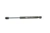 Амортизатор кришки багажника MAGNETI MARELLI 430719033700 (фото 5)