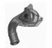 MAGNETI MARELLI FORD Помпа воды Fiesta, KA 96- WPQ0162