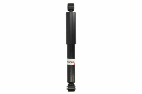 Амортизатор підвіски MAGNUM TECHNOLOGY AGF095MT