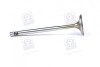 Клапан впускний IN VAG 1,2/1,6 16V 29.5x6x100.9 (Mahle) MAHLE / KNECHT 029 VE 30528 000 (фото 3)