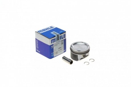 Поршень двигуна VAG 77,01 AZQ/BME (Mahle) MAHLE / KNECHT 030 64 01