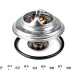 Термостат Ford MOTORAD 551-82K (фото 2)