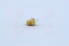 Лампа накаливания 12V 1,5W BX8,5D YELLOW NARVA 17050CP (фото 3)