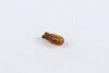 Лампа накаливания WY5W 12V 5W W2,1X9,5d AMBER (пр-во Narva) 17169CP
