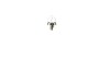 R2 12V 45/40W P45t |ASSYMETRICAL LAMPS| NARVA 49211 (фото 2)