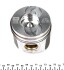 Поршень Fiat NPR 130 020 0010 20 (фото 3)