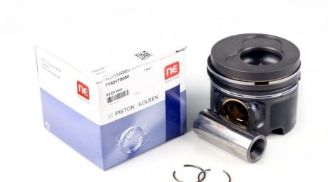 Поршень NPR 130 050 0017 00 (фото 1)