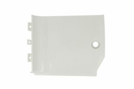 Сходинка кабіни PACOL DAFSP008L (фото 1)