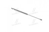 Амортизатор багажника Lacetti HB PARTS-MALL PQC-203 (фото 3)