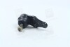 Опора шаровая DAEWOO LANOS передн. ось, нижн. (пр-во PARTS-MALL) PXCJC-001
