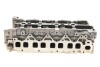 Головка ГБЦ 2.3dci biturbo Renault Master III Renault RENAULT / DACIA 110415059R (фото 6)