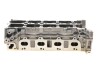 Головка ГБЦ 2.3dci biturbo Renault Master III Renault RENAULT / DACIA 110415059R (фото 8)