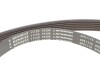 Ремкомплект приводного ремня 6PK1176 1,4-1,6I/1,5dci Renault Duster II, Megane I RENAULT / DACIA 117201925R (фото 6)