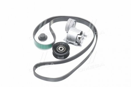 Комплект ремня генератора Megane III, Scenic III Renault RENAULT / DACIA 117207538R (фото 1)