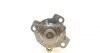 Насоси охолоджуючої RENAULT / DACIA 210105857R (фото 4)