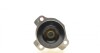 Насоси охолоджуючої RENAULT / DACIA 210105857R (фото 6)