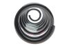 Пружина подвески задняя Renault Scenic III 2009-2015 Renault RENAULT / DACIA 550200023R (фото 3)