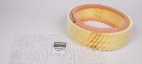 Фільтр повітряний (RENAULT) RENAULT / DACIA 7701070525 (фото 1)