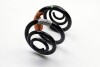 Пружина подвески задняя 4Х4 Kangoo I 2001-2009 (8200041470) Renault