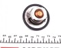 Термостат F4R, K7J, К7М, K4J, K4M 89°C Logan, Duster, Kangoo, Megane II, Trafic II Renault RENAULT / DACIA 8200772985 (фото 4)
