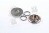 Р/к супорту MERITOR ELSA2,ELSA195,ELSA225 заглушки (RIDER) RD 08478