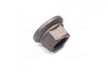 Гайка М22x1, 5x27 SW32 колеса (срібло) BPW, MB, SAF RIDER RD 20.80.39 (фото 3)