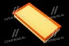 Фільтр повітряний ExtraClean  VAG (RIDER) REC130327