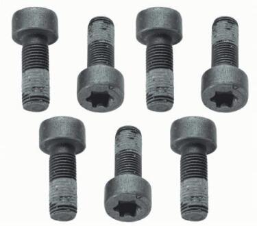 Болт з шестигранною головкою SACHS 1874 000 040 (фото 1)