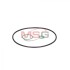 Ремкомплект компресора DENSO SCS06/SCSA06 Santech K20-2177 (фото 1)