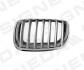 Решітка радіатора BMW X5 (E70), 10.06 - 04.10 PBM07053GBL