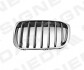 Решітка радіатора BMW X1 (F48), 15 - PBM07127GAL