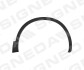 Надкирильник (передній) NISSAN QASHQAI, 07 - 10 PDS01002MAR