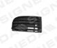 Решітка в бампер VW GOLF V, 03 - 08 PVW99014GBR