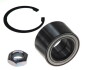 Підшипник маточини (комплект) SKF VKBA 3689 (фото 1)