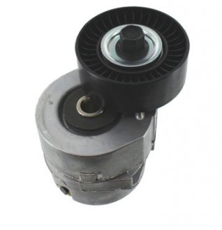 Натягувач ременя FORD Galaxy "2,0/2,3L "95-06 SKF VKM34012 (фото 1)