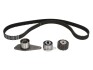 SKF К-т ГРМ (ремень+ 3 ролика) Renaul Megane I 1.9D/TD VKMA 06124