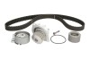 SKF К-кт. ГРМ  (помпа+рем.+2шт.ролика+крепление)  Citroen Berlingo 1.6, Peugeot 307 1.6 VKMC 03132