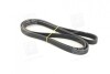 Ремінь поліклін. (Вир-во SKF) VKMV5PK1885