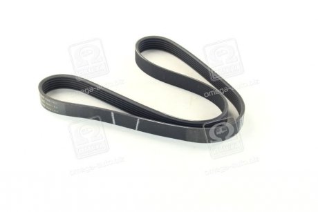 Поликлиновой ремень SKF VKMV 6PK1042