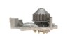 Помпа системи охолодження 1.4MPI 8V RENAULT Kangoo 97-07, Clio II 98-05, Megane 96-03 SKF VKPC86216 (фото 5)