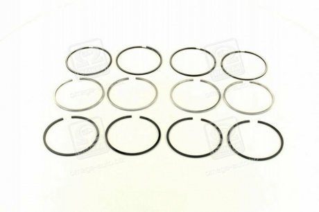 Комплект поршневых колец SM 792096004 (фото 1)